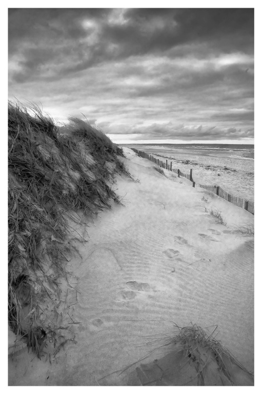 Mayflower beach